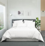 Bộ chăn ga gối màu trắng